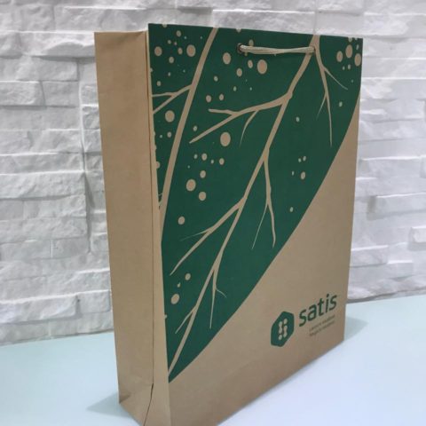 WhatsApp Image 2020-08-18 at 14.43.14 (1) Sacola de papelão Satis